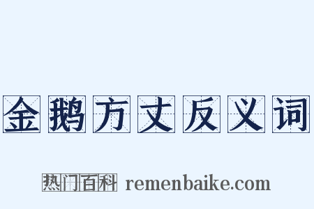 金鹅方丈反义词是什么意思的图片